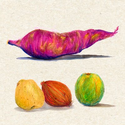 Colorful Children's Book Style Illustration